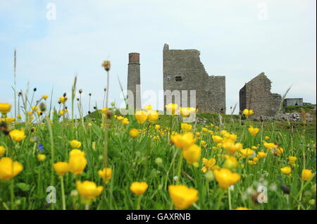 The surface remains of Magpie Mine, a former lead mine near Sheldon in the Peak District National Park, Derbyshire England UK Stock Photo