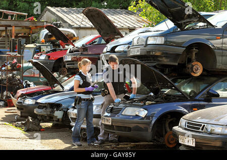 A group of metropolitan police officers check cars in a breakers yard in Harrow, North West London, after a rise in older cars being stolen and crushed for their scrap metal value and then being shipped overseas. Stock Photo