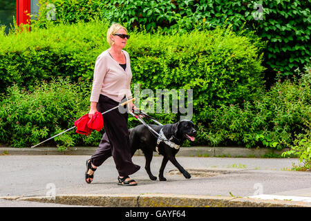 Motala, Sweden - June 21, 2016: Blind or visually impaired woman out for a walk helped by her guide dog. White cane in one hand Stock Photo