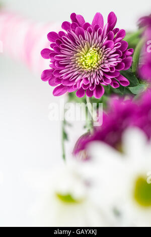 Unique abstract underside view of wedding bouquet, with selective  focus  on one purple chrysanthemum. Stock Photo