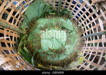 Betel nut at a Market near the City of Yangon in Myanmar in Southeastasia. Stock Photo