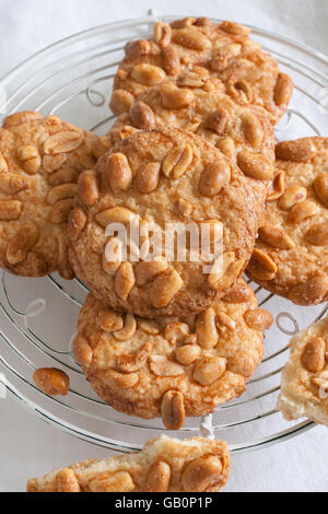 Salted peanut cookies made with sugar flour and crunchy peanuts Stock Photo