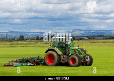 A farmer mowing a field of commercial turf in Burscough, Lancashire, UK, driving a Fendt 514 Vario tractor mowing a new crop of grasses, green, grass, nature, lawn, grow, plant, growth, field, background, meadow, spring, natural, summer, garden, environment, grown for the local demand for turf. These fields are growing grass this year is part of the farmers crop rotation system. The principle of crop rotation is to grow specific groups of vegetables on different parts of the farm each year. Stock Photo