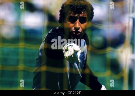 Soccer - England International. Peter Shilton England Goalkeeper Stock Photo