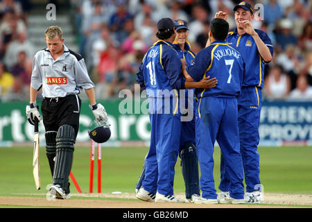 Cricket - Twenty20 Cup - Final - Surrey v Warwickshire Stock Photo