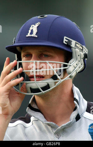 Cricket - Twenty20 Cup - Final - Surrey v Warwickshire Stock Photo