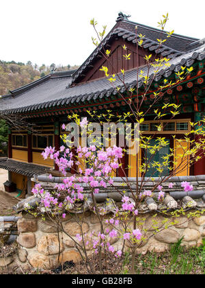 buddhist temple Woljeongsa, province Gangwon-do, South Korea, Asia Stock Photo