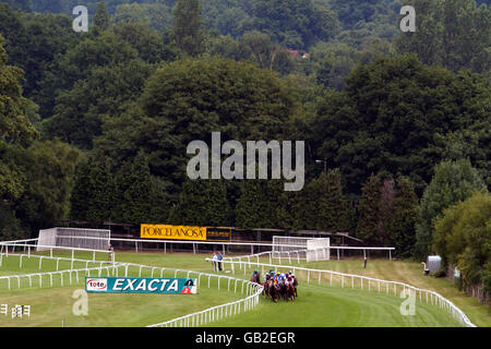 Horse Racing - Sandown - Eclipse Meeting. A general view of Sandown race course Stock Photo