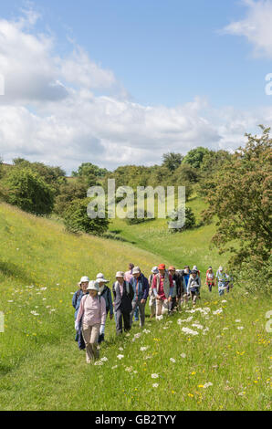 A group of walkers in the English countryside, England, UK Stock Photo