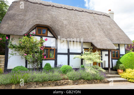 Thatched cottage in Little Comberton, Worcestershire, England, UK Stock Photo