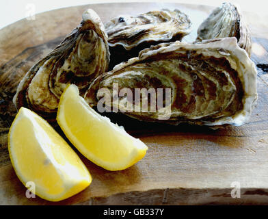 Oysters on a Wooden Plate with two slices of Fresh Lemon Stock Photo
