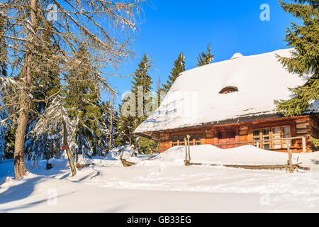 Wooden hut in forest in winter scenery of Gorce Mountains, Poland Stock Photo