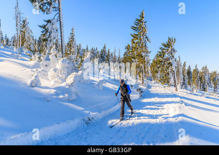 GORCE MOUNTAINS, POLAND - FEB 14, 2015: cross-country skier on trail in winter landscape of Gorce Mountains. Skiing is healthy a Stock Photo