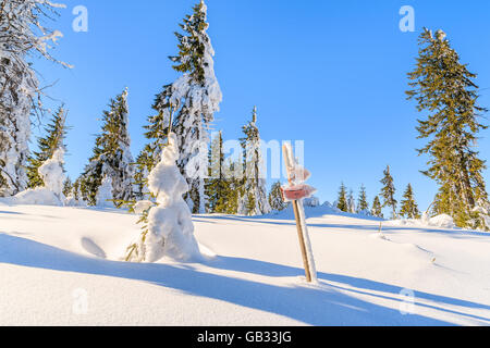 Trail sign in deep snow in Gorce Mountains National Park, Poland Stock Photo