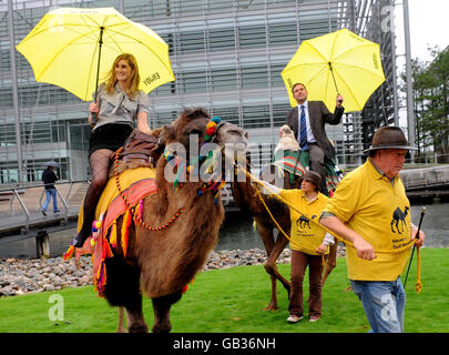 Office workers enjoy a camel ride, today, as part of the Chiswick Park 'Enjoy Work' programme which aims to provide workers at the West London business park with activities aiding a healthy work-life balance. Stock Photo