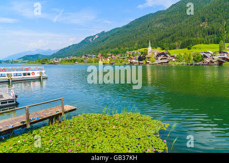 Lily flowers on green water Weissensee lake in summer landscape of Alps mountains, Austria Stock Photo