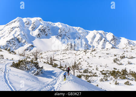 Alpine skiers on on winter trail in Rohace valley, Tatra Mountains, Slovakia Stock Photo