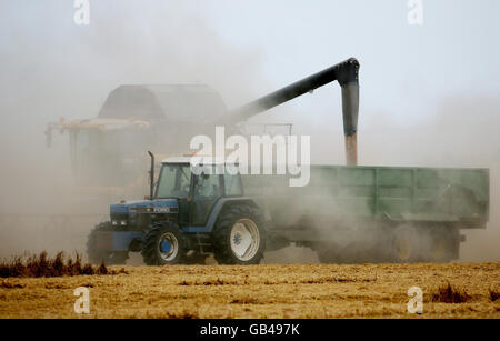 A Combine Harvester at work in a field near Ivychurch in Kent. Stock Photo