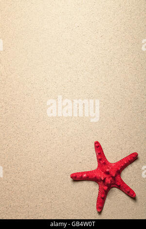 Red starfish on sandy beach background Stock Photo