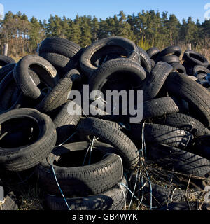 Old tires dumped in the midst of nature Stock Photo