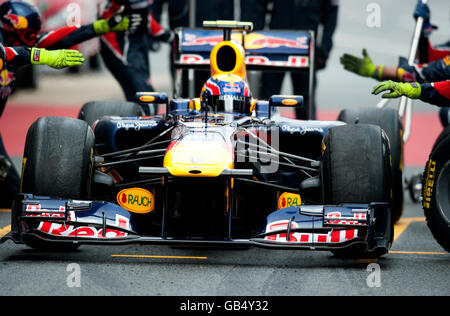 Mark Webber, Australia, during a pit stop with his Red Bull Racing-Renault RB7, motor sports, Formula 1 testing at Circuit de Stock Photo