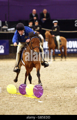 Equestrian - Horse of the Year Show - Day Two - National Exhibition Centre Stock Photo