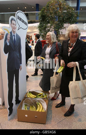 Delegates pick up free David Miliband bananas, which are on offer as they arrive ahead of second day of the Conservative Party Conference at the International Convention Centre, Birmingham. Stock Photo
