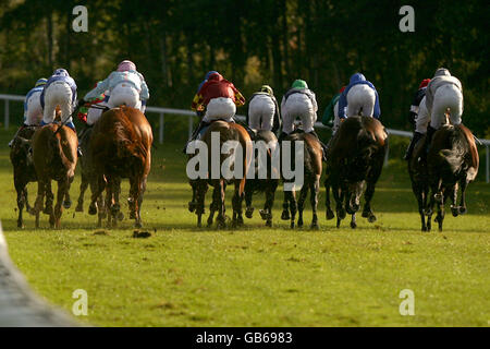 Horse Racing - Trinidad & Tobago Day - Pontefract Stock Photo