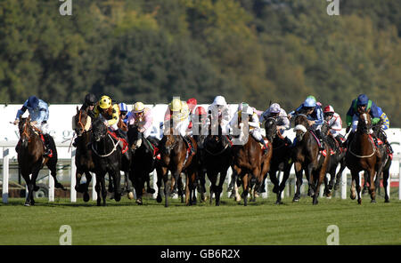 Night Crescendo and Jim Crowley (2nd left, black) squeezes through to win The ladbroke.com Stakes at Ascot Racecourse, Berkshire. Stock Photo