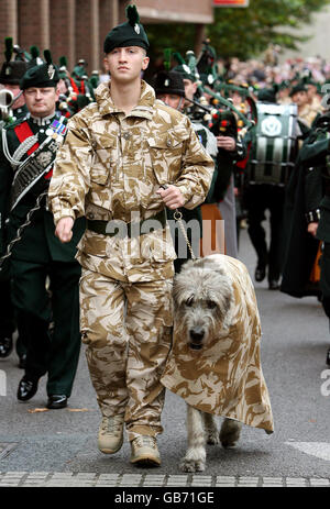 Members of the Royal Irish Regiment parade through Market Drayton, Shropshire, after returning home from Afghanistan. Stock Photo