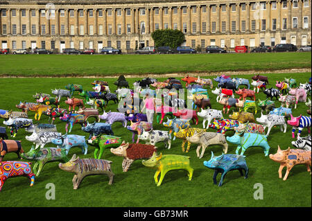 King Bladud's Pigs in Bath, with founder of the King Bladud's Pigs project Gitte Dawson, a public art event to celebrate Bath, its origins and its artists, on the lawn in front of the Royal Crescent in Bath. Stock Photo