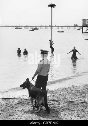 Law and Order - Gangs - Skinheads - Southend-on-Sea - 1980 Stock Photo