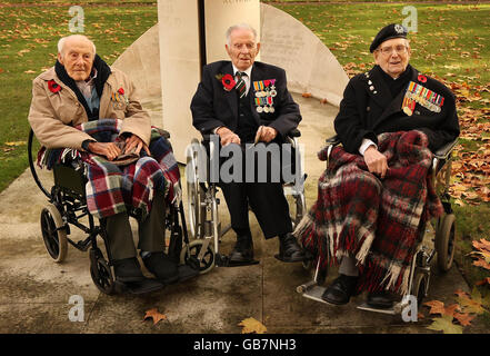Customs and Traditions - Armistice day - London Stock Photo
