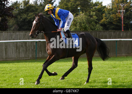 Horse Racing - Nottingham Racecourse. Dubai Echo ridden by jockey Ryan Moore, before The Racing Channel 432 Maiden Stakes (Division 2). Stock Photo