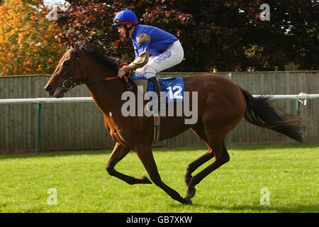 Horse Racing - Nottingham Racecourse Stock Photo