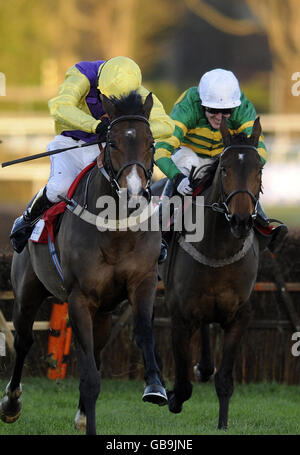 Sunnyhill Boy and Tony McCoy (right) win The Best Odds Guarnteed At betinternet.com Hurdle race during Tingle Creek Day 2008 at Sandown Racecourse, Surrey. Stock Photo