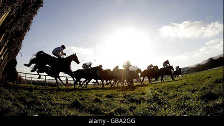 Runners and riders jump the last fence in the PaddyPowertrader.com maiden hurdle during Paddy Power Day at Leopardstown Racecourse, Ireland. Stock Photo