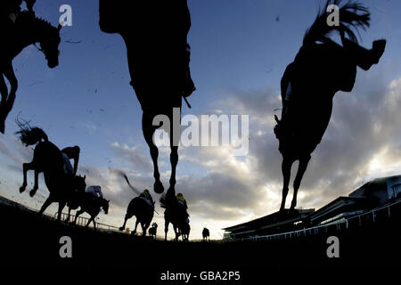 Runners and riders jump the last fence in the Paddypowerpoker.com Handicap hurdle during Paddy Power Day at Leopardstown Racecourse, Ireland. Stock Photo