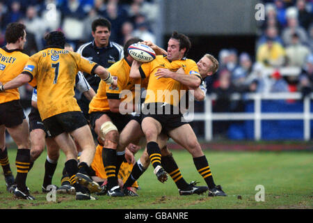 Rugby Union - Zurich Premiership - Newcastle Falcons v London Wasps Stock Photo