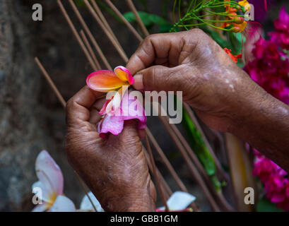 A Salvadoran woman decorates palm fronds with flowers during the Flower & Palm Festival in Panchimalco, El Salvador Stock Photo