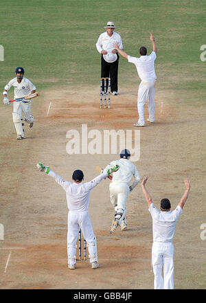 England's Graeme Swann is congratulated after taking the wicket of India's Virender Sehwag lbw for 83 during the fourth day of the First Test Match at the M. A. Chidambaram Stadium in Chennai, India. Stock Photo