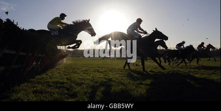 Runners and riders including Meohmy (left) and Pine Native (centre) jumps the last fence first time around in the First Great Western Maiden Hurdle at Newbury Racecourse, Berkshire. Stock Photo