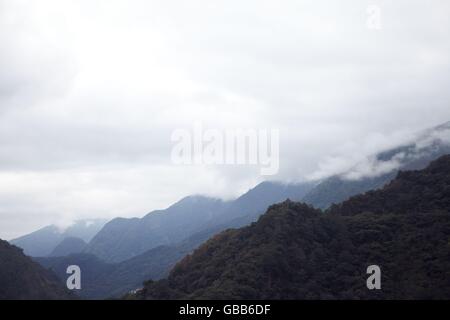 mountain tea gardon Stock Photo