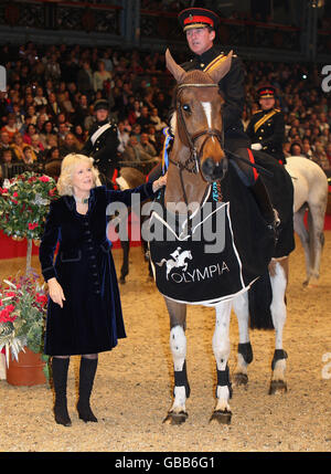 in london england horse and cavalry for the queen Stock Photo - Alamy