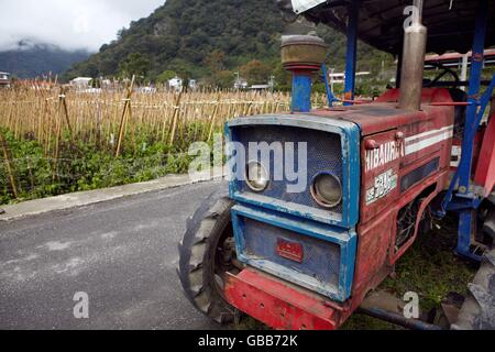 mountain tea gardon Stock Photo