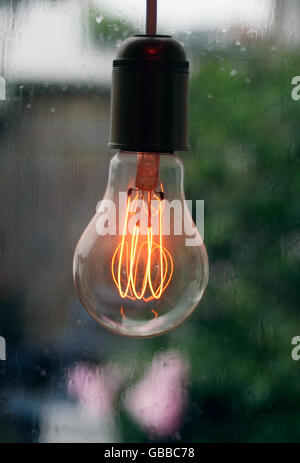 Incandescent lamp filaments Stock Photo