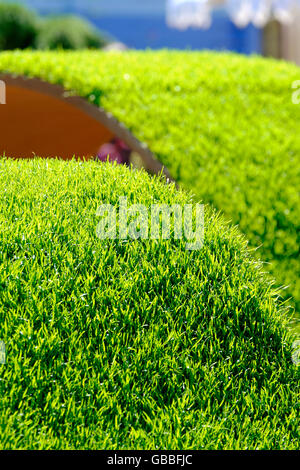 Detail of the World Vision show garden designed by John Warland at the RHS Annual Hampton Court Flower Show, Hampton, England Stock Photo