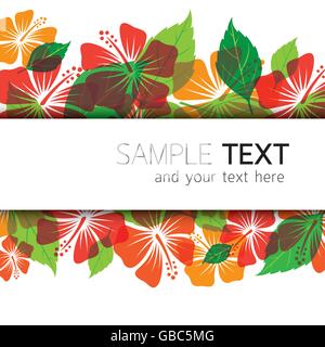 Hibiscus Background, Flowers, Tropical, Summer Stock Vector