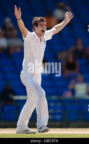 England's James Anderson appeals for a wicket during the tour match at Warren Park Cricket Ground, St Kitts. Stock Photo