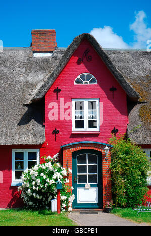 Frisian house, thatched-roof house, Island Amrum, North Frisia, Schleswig-Holstein, Germany Stock Photo